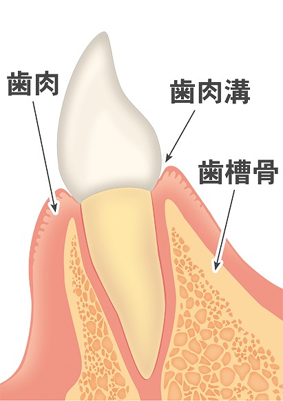 健康な状態